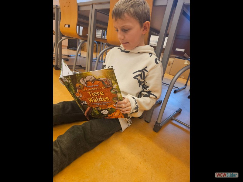 signal-2024-12-05-11-09-14-647-1