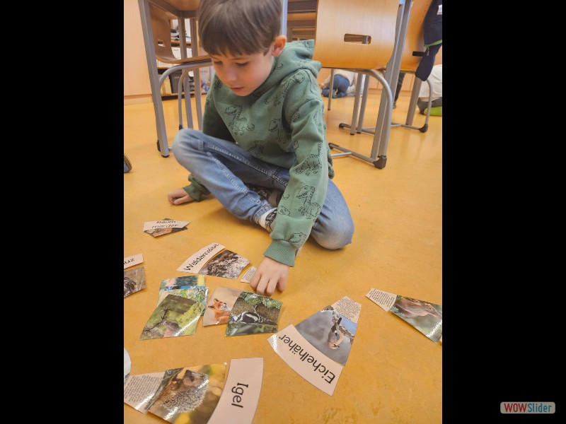 signal-2024-12-05-11-09-14-647-2