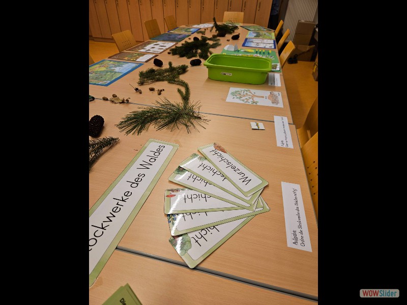 signal-2024-12-05-11-10-58-261-1