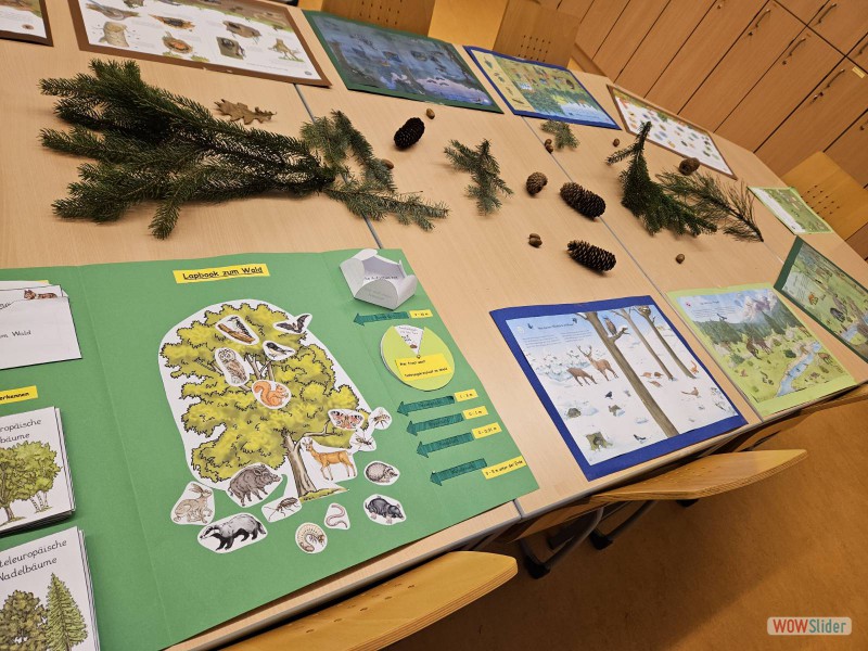 signal-2024-12-05-11-10-58-261-2